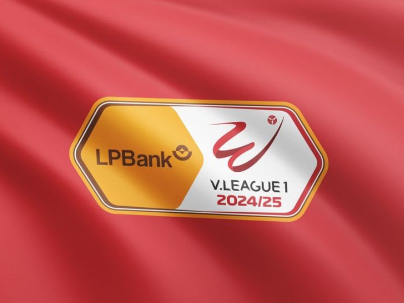 Lịch sử phát triển của V-League